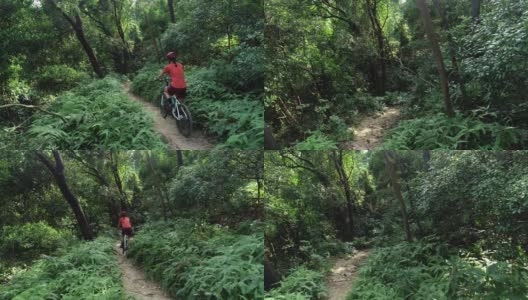 女子自行车越野自行车在热带雨林高清在线视频素材下载
