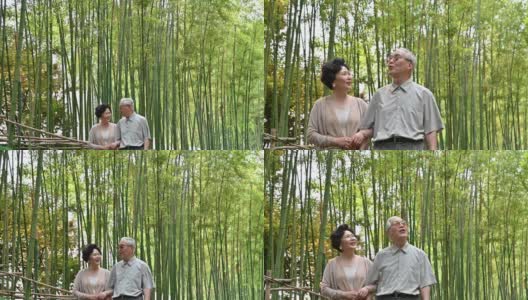 一对中国老年夫妇走过竹林高清在线视频素材下载