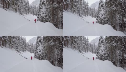 在高山冬季森林里穿雪鞋的单身女人高清在线视频素材下载