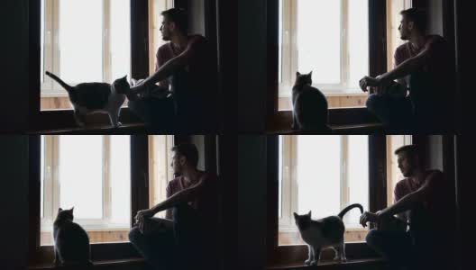 一个有魅力的男人和一只可爱的猫坐在房子的窗台上看书。自我隔离、隔离、大流行概念。高清在线视频素材下载