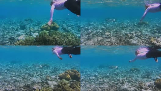 女潜水者穿着紫外线泳衣和玳瑁海龟在水流中游泳。背景是海面上的克里岛。拉贾安帕，西巴布亚，印度尼西亚高清在线视频素材下载