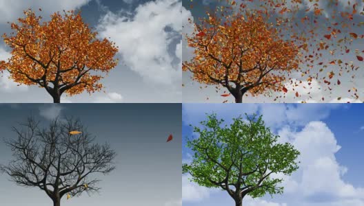 春季到秋季季节变化的概念。叶子出现在树上，它们变黄，然后脱落。4K。3840 x2160。高清在线视频素材下载