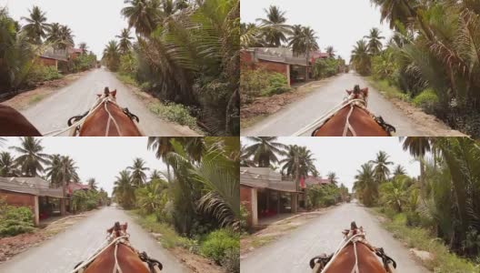 在越南湄公河三角洲骑马高清在线视频素材下载