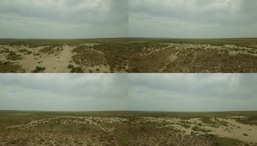 哈萨克斯坦干燥草原背景中的双驼峰奔跑野骆驼高清在线视频素材下载