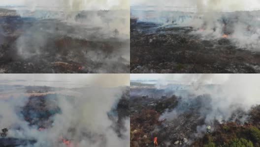 空中史诗野火灾难，燃烧的草地和地面，消防员和志愿者战斗高清在线视频素材下载