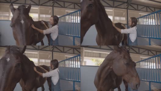 年轻的亚洲妇女在马厩里刷和清洁她的深棕色的种马高清在线视频素材下载