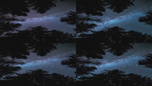 在黑暗的森林中仰望银河系恒星剪影垂直天文学延时背景4K高清在线视频素材下载