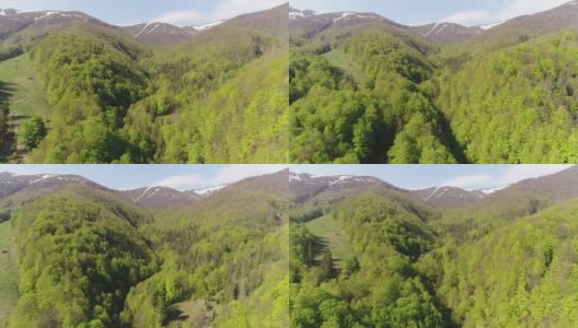 飞越群山中的森林。乌克兰喀尔巴阡的鸟瞰图高清在线视频素材下载