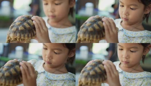可爱的亚洲小孩抱着乌龟玩。她并不害怕把它拿在手里。自我学习的概念和热爱动物的生活方式。高清在线视频素材下载