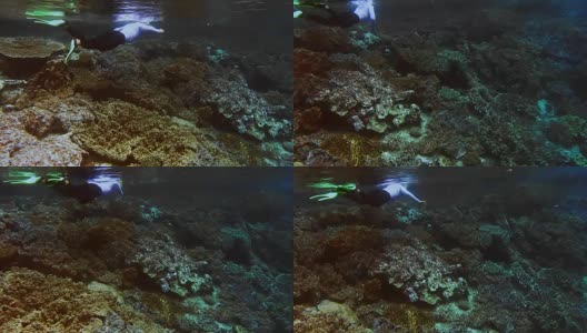 女性穿着泳衣沿着弗里文墙浮潜。甘岛附近有许多美丽的热带硬珊瑚和软珊瑚，是潜水的好地方。拉贾安帕，西巴布亚，印度尼西亚高清在线视频素材下载