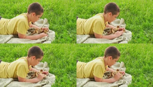 一个可爱的小男孩在夏日的草地上和小鸭们一起玩耍。高清在线视频素材下载