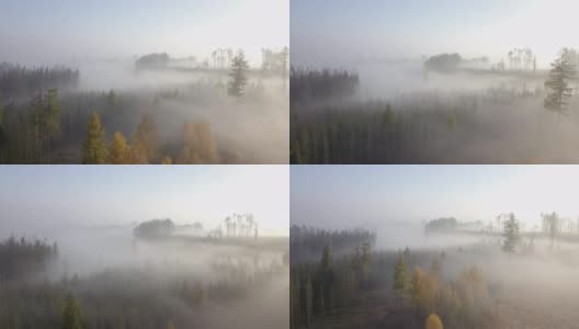 鸟瞰图的秋季乡村，传统的秋季景观在中欧高清在线视频素材下载