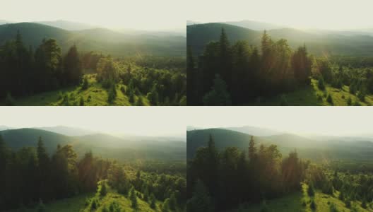 潘留下了明亮的阳光照耀在绿色的山丘和树木在夏天在乌克兰喀尔巴阡高清在线视频素材下载