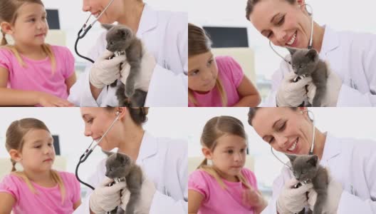 小女孩看着兽医检查她的小猫高清在线视频素材下载