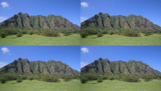 Kualoa牧场高清在线视频素材下载