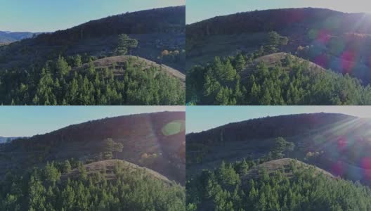 飞过高山和森林高清在线视频素材下载