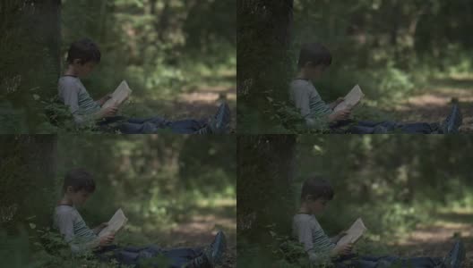 男孩坐在森林里的一棵树旁边看书高清在线视频素材下载