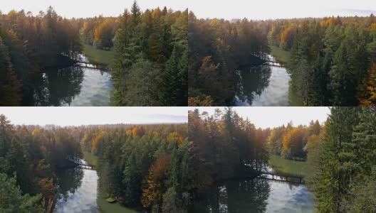 空中森林围绕着一个在阳光下闪闪发光的湖高清在线视频素材下载