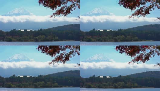 美丽的富士山与枫树在秋天的日本高清在线视频素材下载