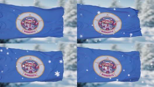 明尼苏达冬天的雪花旗背景。美利坚合众国高清在线视频素材下载