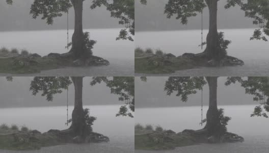 一串串挂在雨中的逗号树，雾蒙蒙的灰大气，黑暗而紧张高清在线视频素材下载