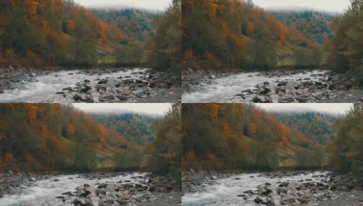 湍急、寒冷的Cheremosh山溪在喀尔巴阡山脉岩石海岸的背景上。Dzembronya山村初秋雾蒙蒙的早晨高清在线视频素材下载