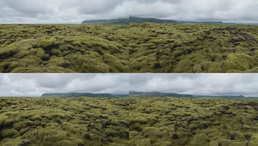 苔藓覆盖的熔岩领域的观点高清在线视频素材下载