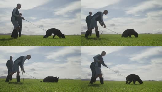 牧羊犬和他的主人在农场散步4k高清在线视频素材下载