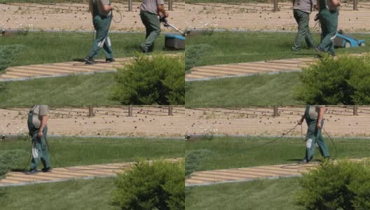 工作的园丁用电动割草机割草高清在线视频素材下载