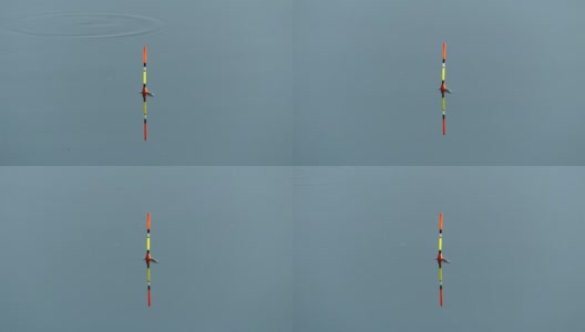 钓鱼时在水中放置钓竿的浮子。水中的浮子表明鱼在上钩。高清在线视频素材下载