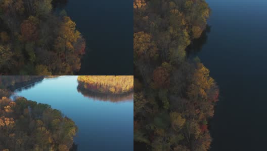 秋天的颜色围绕一个和平的湖，奥因斯米尔斯，美国马里兰州高清在线视频素材下载