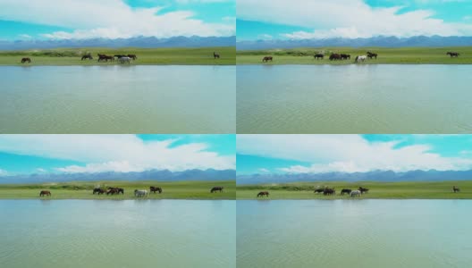 美丽的新疆草原景观高清在线视频素材下载