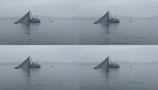 清晨薄雾中从博斯普鲁斯海峡带着巨大渔网捕鱼的渔船。灰色的海水和多云的天空。海鸟在船的上方飞翔。高清在线视频素材下载