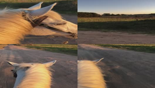 日落时分，在农场骑马高清在线视频素材下载