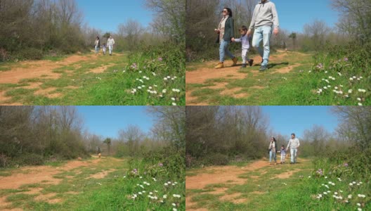 一家人在春天的大自然中散步高清在线视频素材下载