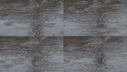 雨滴在水坑里荡漾高清在线视频素材下载