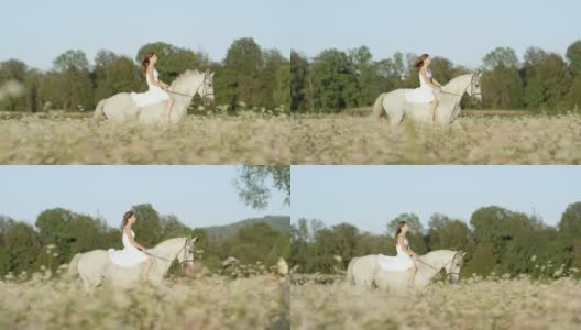慢镜头:天真的年轻女子骑着白马在粉红色的花海中高清在线视频素材下载