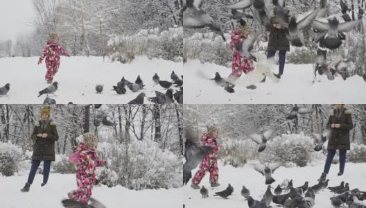 女孩在冬天的公园里玩鸽子高清在线视频素材下载