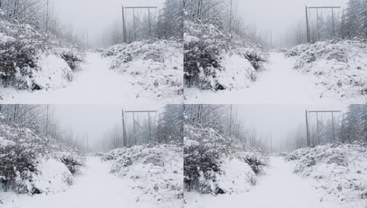 Snow covered path with lush高清在线视频素材下载