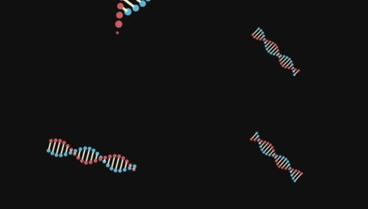4K超高清视频旋转DNA螺旋优雅的黑色背景高清在线视频素材下载