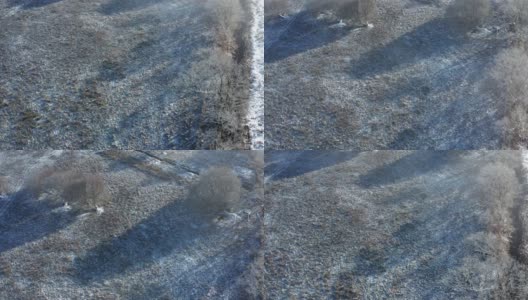这是一幅鸟瞰图，一条小河和一条排水沟在一个霜冻和雾蒙蒙的早晨流过未经开垦的土地高清在线视频素材下载