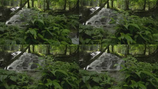 潘宁拍摄了瀑布的美丽风景，水从山上流过岩石，穿过茂密的树叶植物在雨林。大自然的新鲜和绿色。高清在线视频素材下载