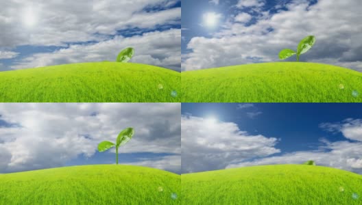 地球日庆祝活动。生态学的概念。新生的绿芽象征着为新生命而奋斗。绿草蓝天白云，4K DCI时间流逝。快乐的动画。高清在线视频素材下载