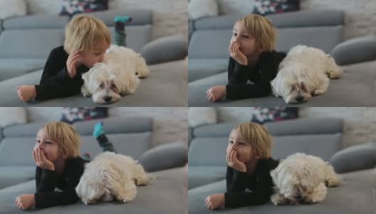 可爱的金发小孩，蹒跚学步的男孩，和他的宠物马耳他犬一起看电视高清在线视频素材下载