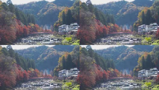 日本爱知县，红桥上人头攒动，彩绘秋叶。高清在线视频素材下载