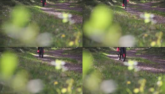 一个女人在森林里的小路上骑着山地车高清在线视频素材下载