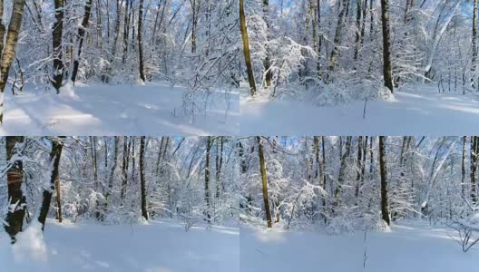 森林里白雪皑皑的树枝。冬天的童话背景高清在线视频素材下载