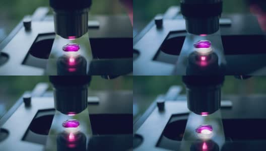实验室光学显微镜，彩色反射高清在线视频素材下载