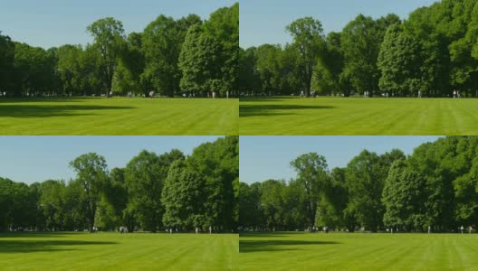 全景美丽的绿色公园高清在线视频素材下载