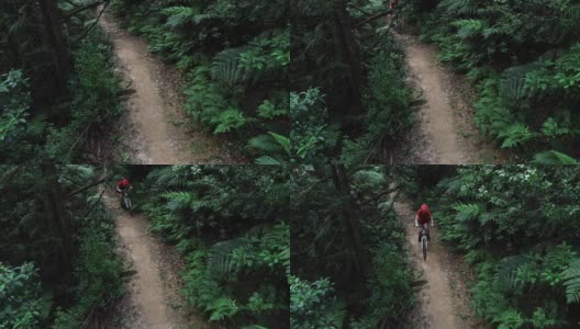 女子自行车越野自行车在热带雨林高清在线视频素材下载